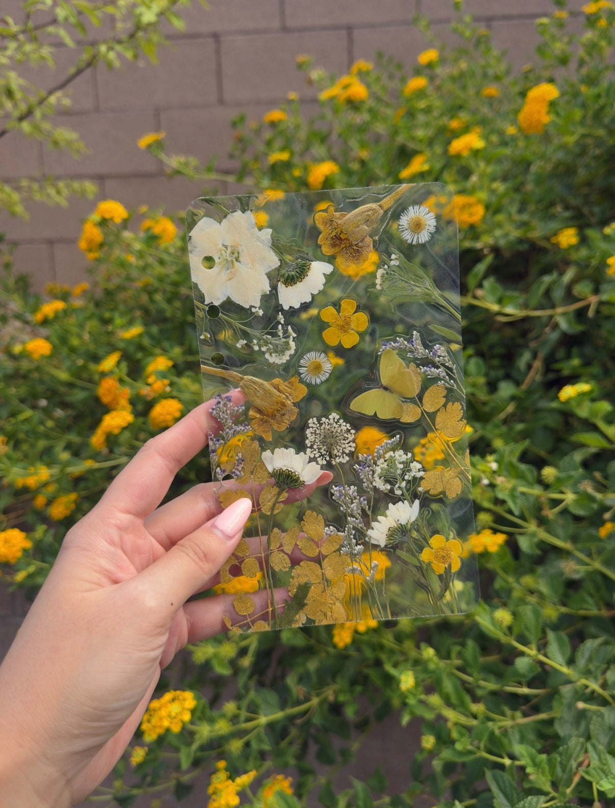 1-of-1 Real Dried Flower A5 A6 Dashboard