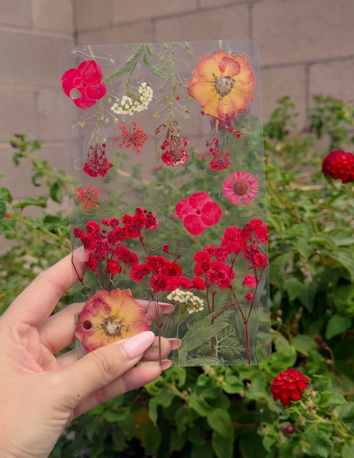 1-of-1 Real Dried Flower A5 A6 Dashboard