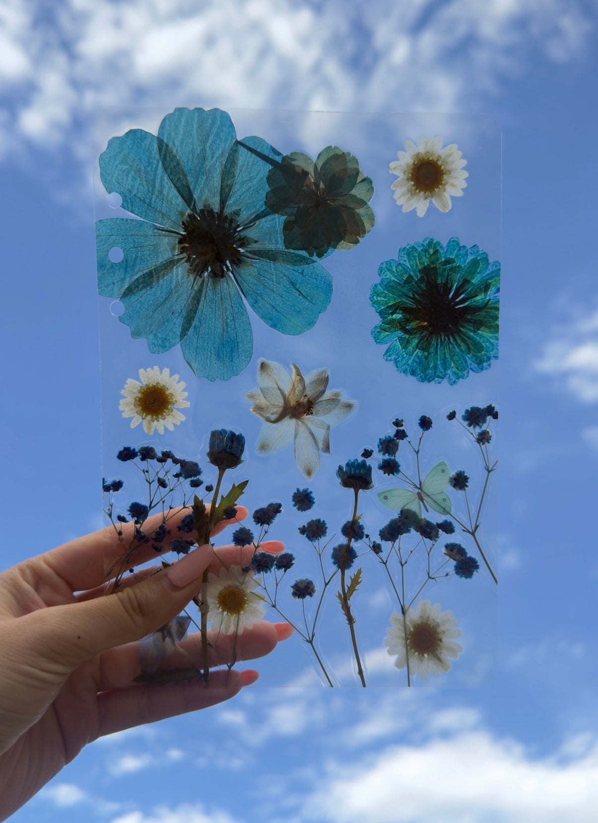 1-of-1 Real Dried Flower A5 A6 Dashboard
